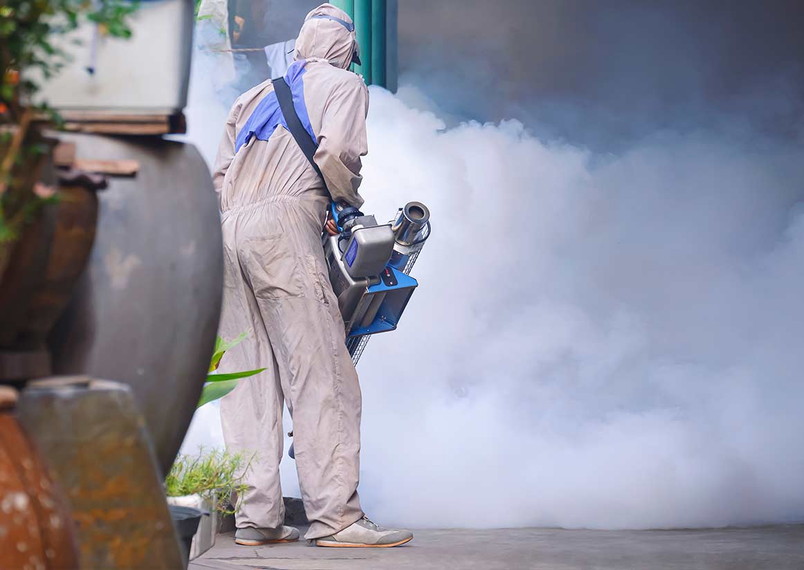 beetle-fumigation-boland